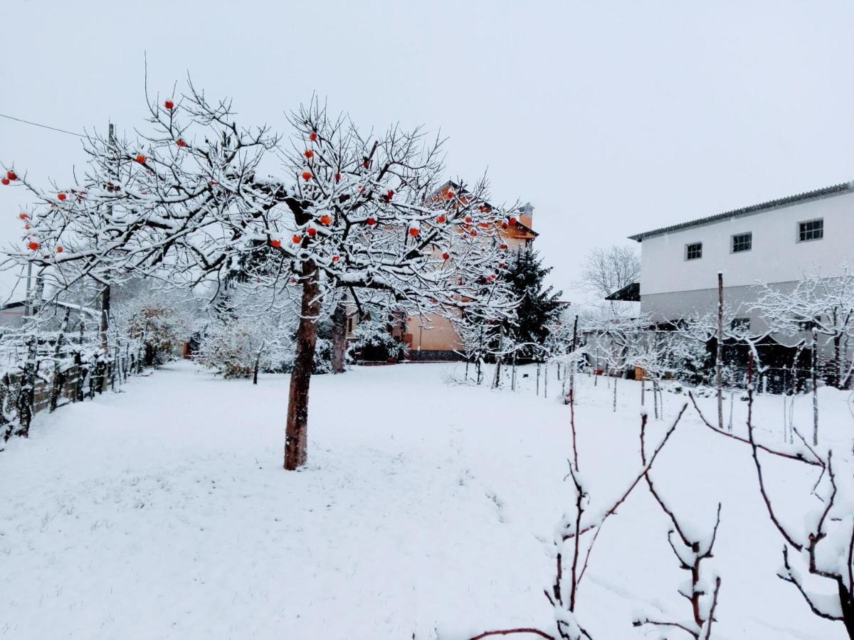 B&B da Vanilla Bonzicco Dış mekan fotoğraf