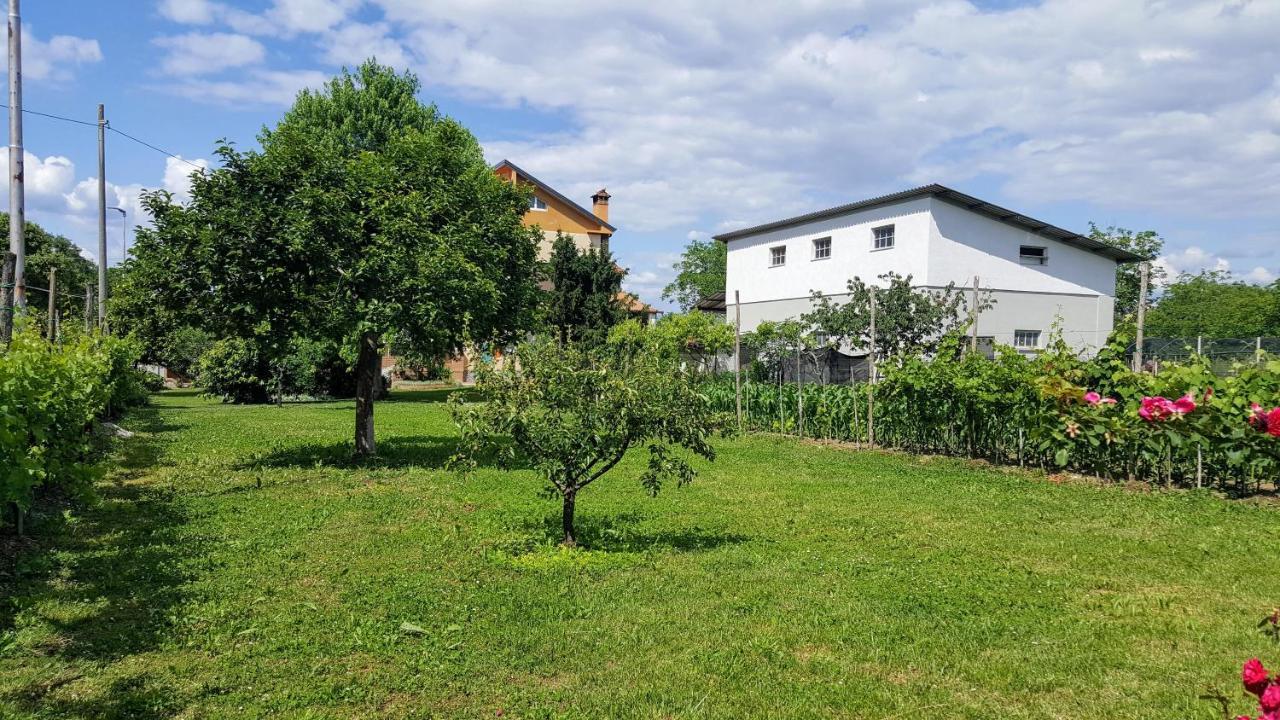 B&B da Vanilla Bonzicco Dış mekan fotoğraf